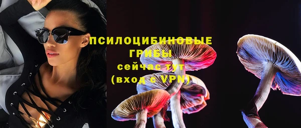 гидра Алексин