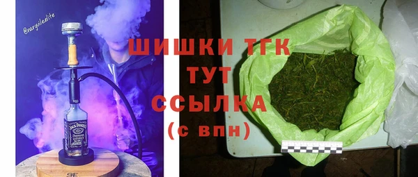 гидра Алексин