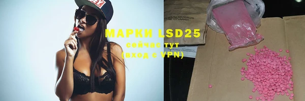 spice Алзамай