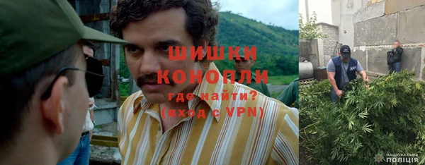 МДПВ Алексеевка