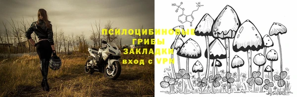 гидра Алексин